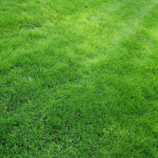 Hd-133695-ascw133695