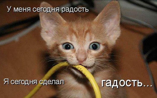 [1308902757_pjatnica_17%255B3%255D.jpg]