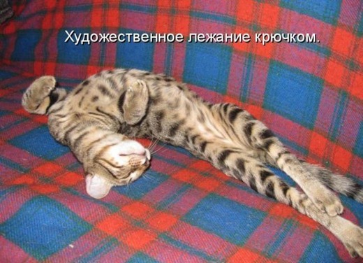 [20120504105627%255B2%255D.jpg]