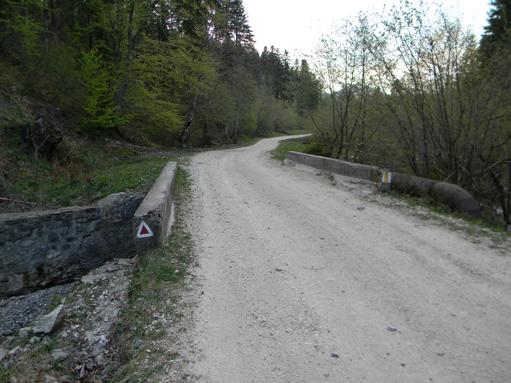 [DSCN81753.jpg]
