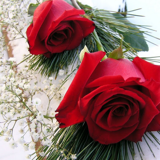 Hd-174946-ascw174946