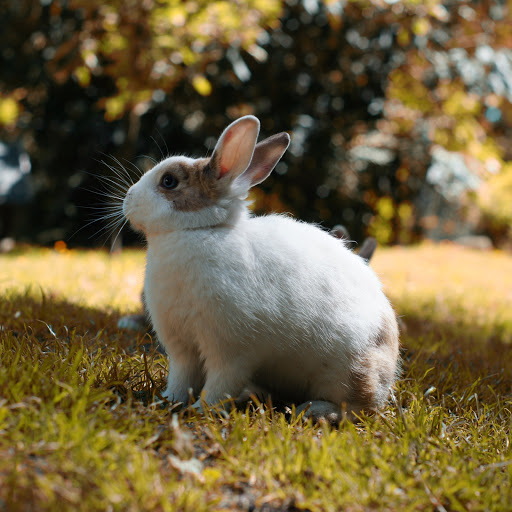 Hd-157215-ascw157215