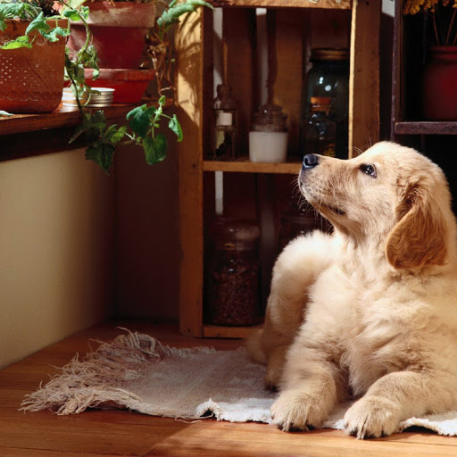 Hd-138017-ascw138017