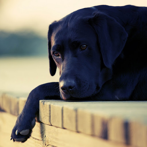 Hd-150612-ascw150612