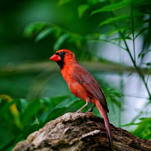 Hd-178722-ascw178722