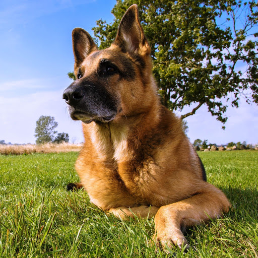 Hd-147515-ascw147515