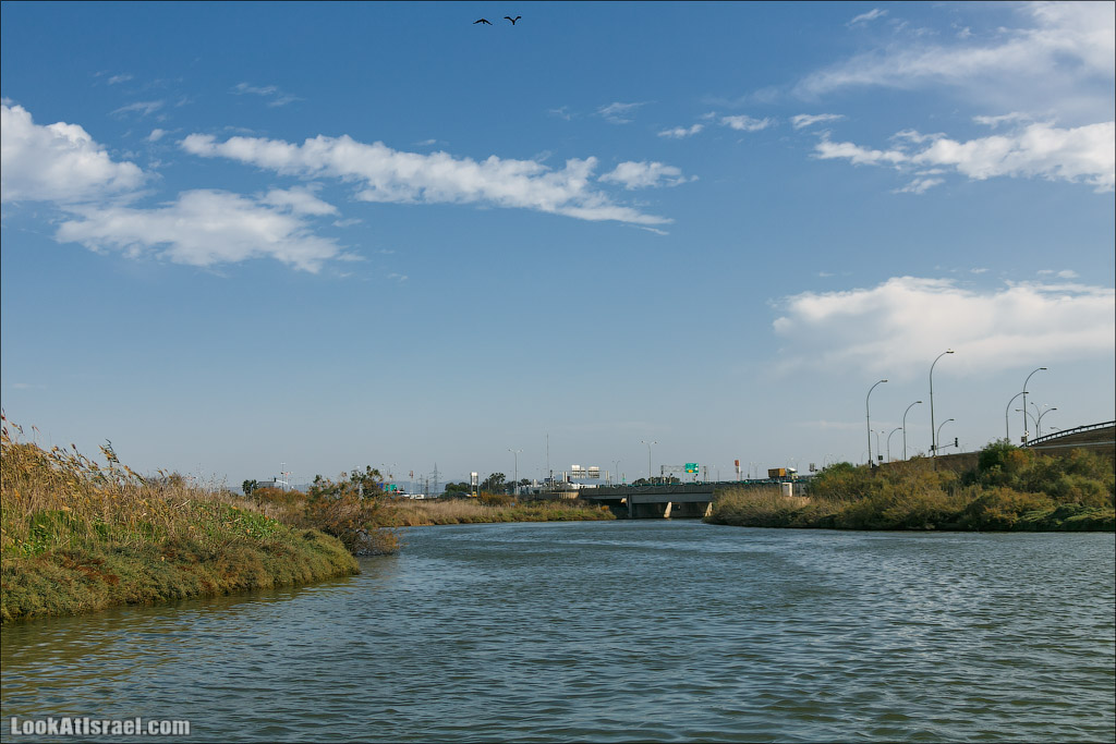 LookAtIsrael.com - Восстановление реки Кишон | Recovering Kishon river | שיחזור נחל קישון