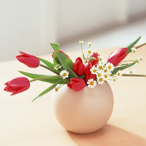 Hd-171471-ascw171471