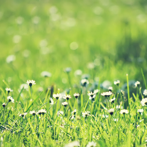 Hd-137285-ascw137285