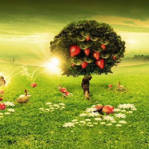 Hd-136149-ascw136149