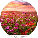 Image Google de isabelle epiard