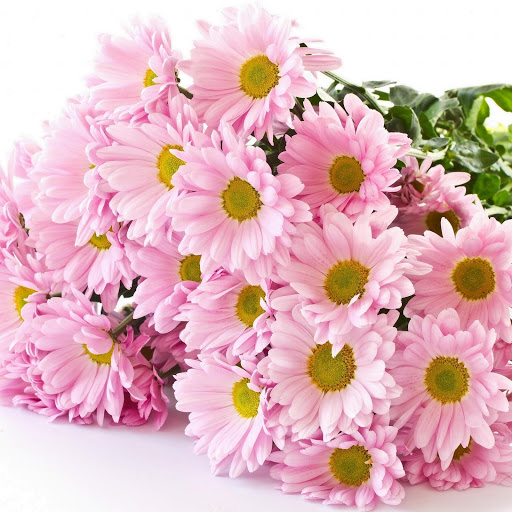 Hd-178322-ascw178322