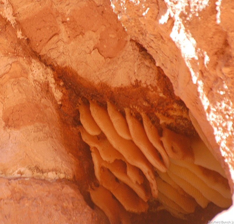 [DSC_1289%255B1%255D.jpg]