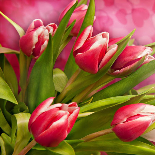 Hd-156996-ascw156996