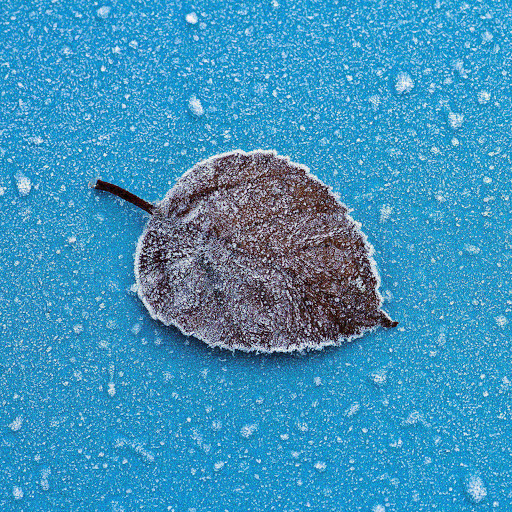 Hd-132581-ascw132581