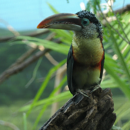 Hd-162743-ascw162743