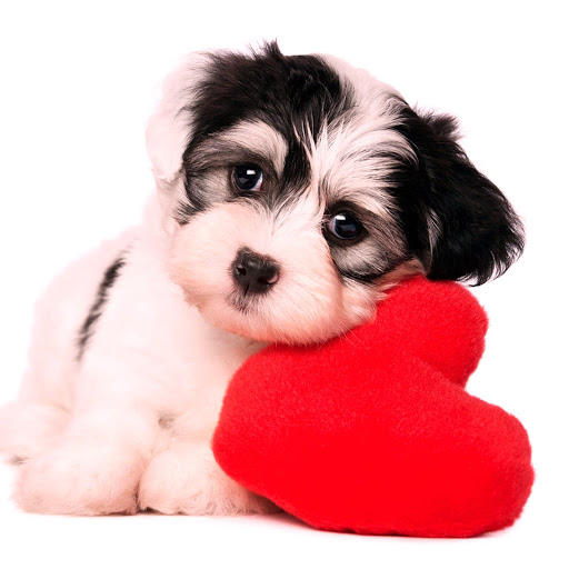 Hd-141552-ascw141552