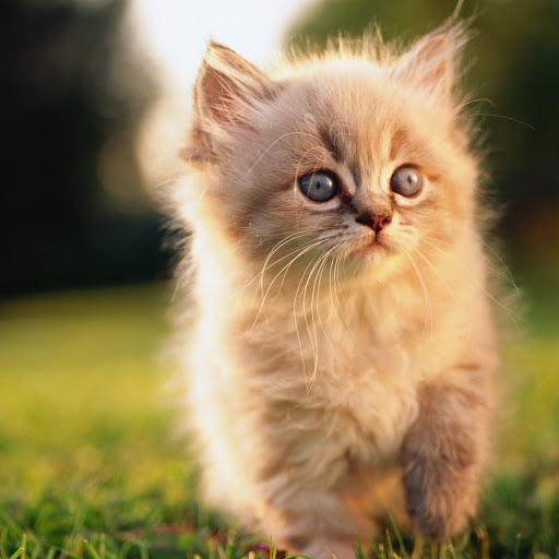 Hd-168370-ascw168370