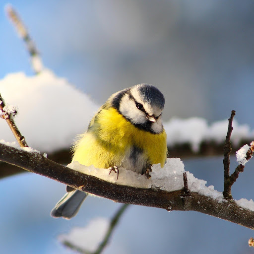 Hd-144255-ascw144255