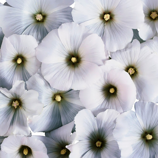 Hd-145941-ascw145941