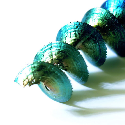 Hd-159611-ascw159611