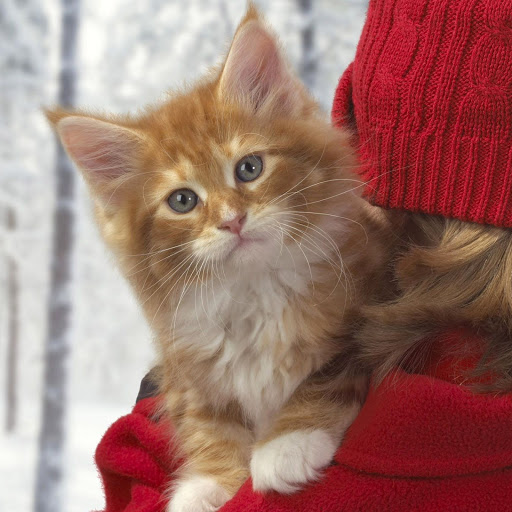 Hd-147172-ascw147172