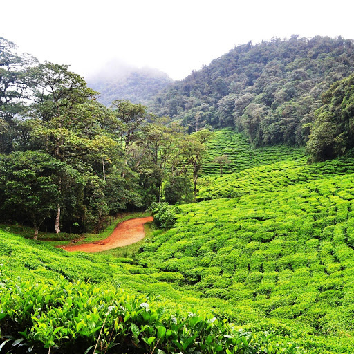 Hd-147102-ascw147102