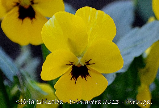 Glória Ishizaka - Primavera 2013 - 7
