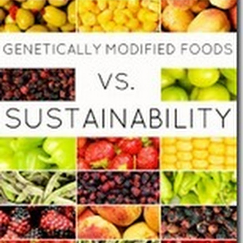 Orangeberry Book of the Day – Genetically Modified Foods vs. Sustainability – Bruno McGrath