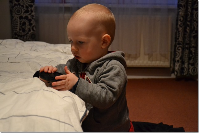 DSC_6977 DSC_6977