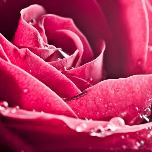 Hd-135484-ascw135484