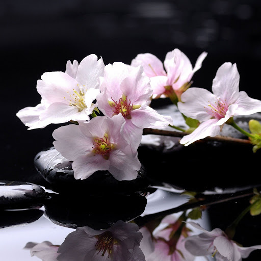 Hd-164242-ascw164242