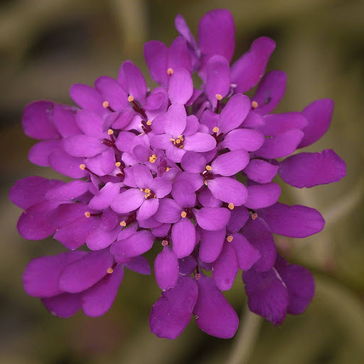 Hd-158731-ascw158731