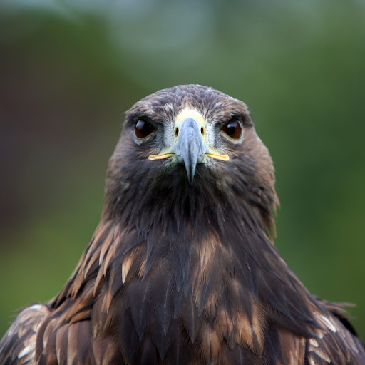 Hd-175329-ascw175329