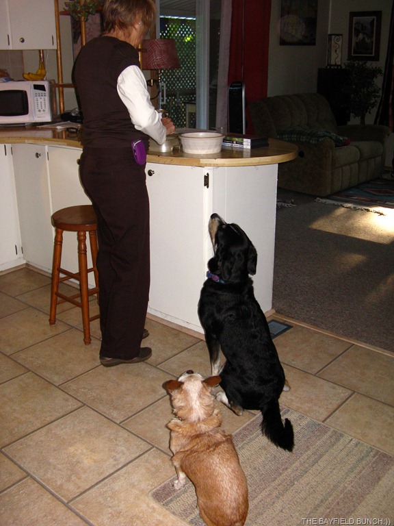 [IMG_2880%255B4%255D.jpg]