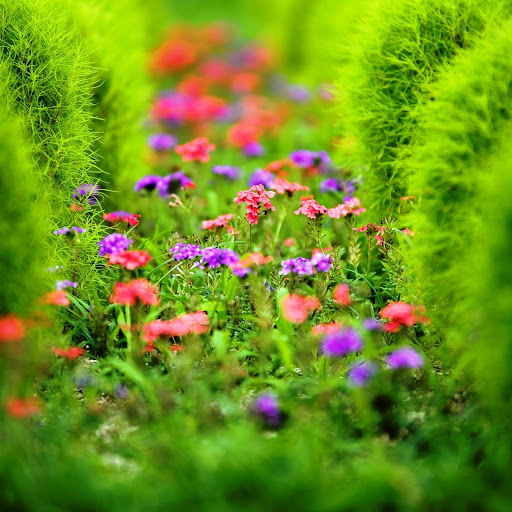 Hd-148446-ascw148446