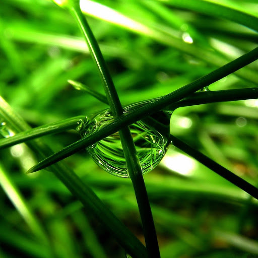 Hd-165511-ascw165511