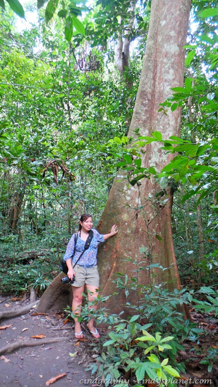 [Krabi144.jpg.webp]