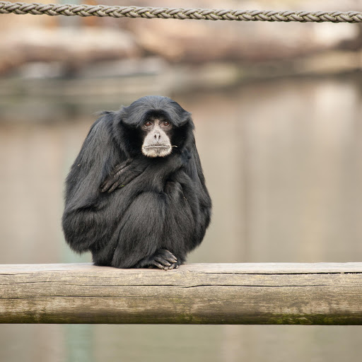 Hd-157660-ascw157660