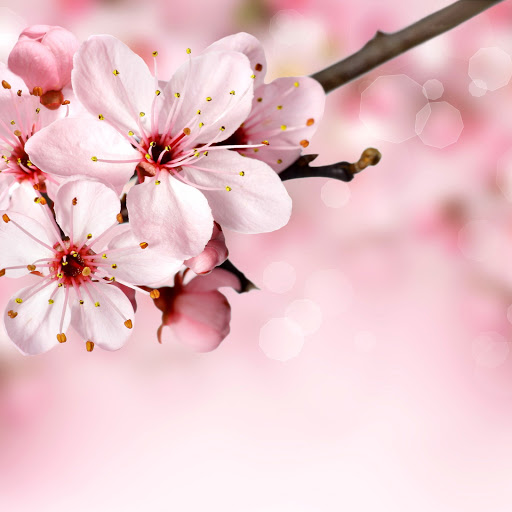 Hd-151113-ascw151113