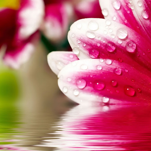 Hd-146778-ascw146778