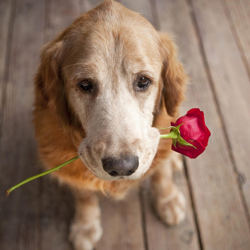 Hd-175766-ascw175766