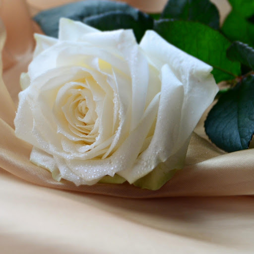 Hd-177031-ascw177031