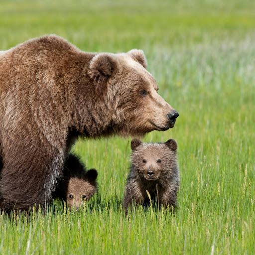 Hd-184842-ascw184842