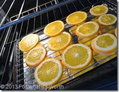 diy dry fruit using oven