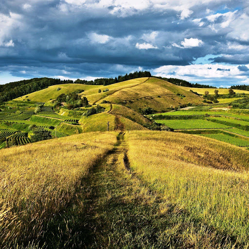 Hd-152262-ascw152262