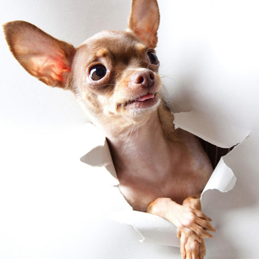 Hd-173959-ascw173959