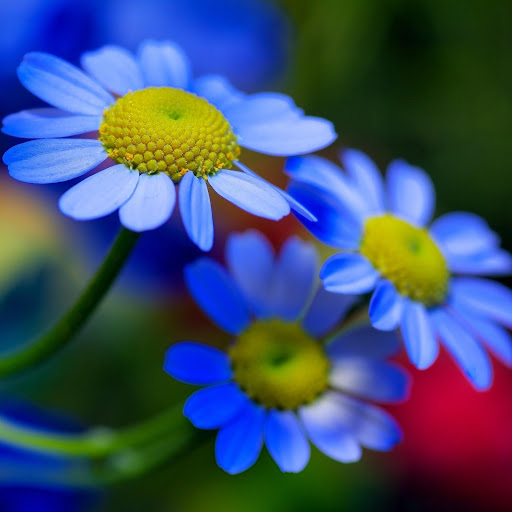 Hd-175049-ascw175049