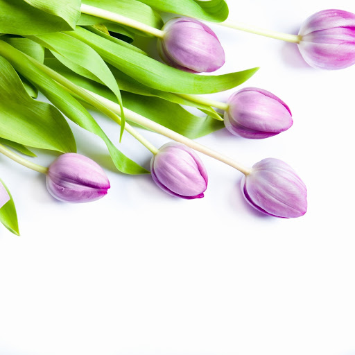 Hd-164848-ascw164848