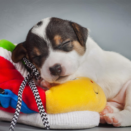 Hd-162371-ascw162371